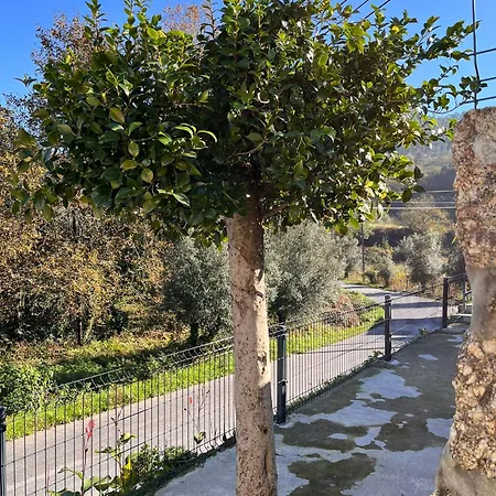 Casa Dos Doces Póvoa de Lanhoso